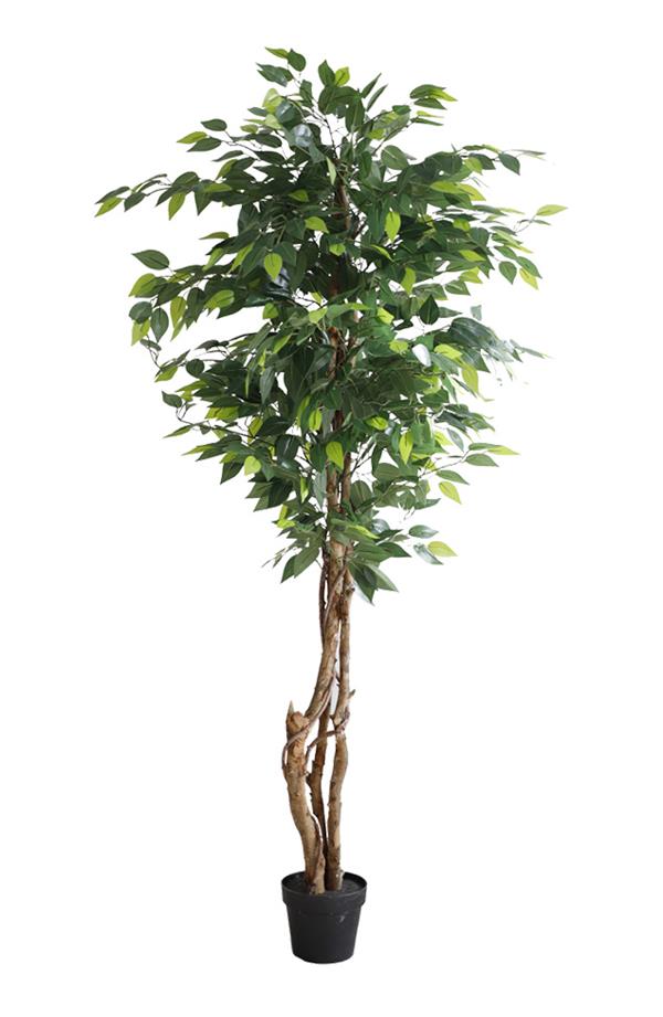 Τεχνητό Φυτό FICUS TREE NP5208 150cm