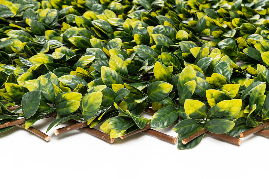 Πτυσσόμενη Πέργκολα Με Φυλλωσιά MZ186006A Miami 100cm x 200cm