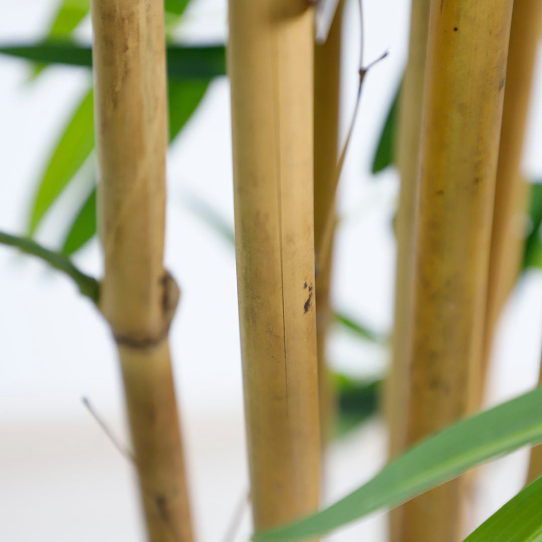 Τεχνητό Φυτό BAMBOO NP0076 210cm