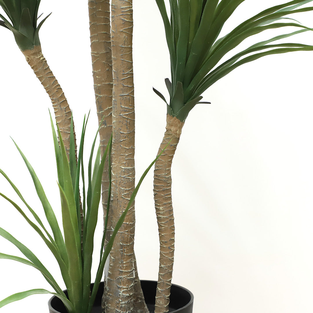 Τεχνητό Φυτό DRACAENA NP28 155cm