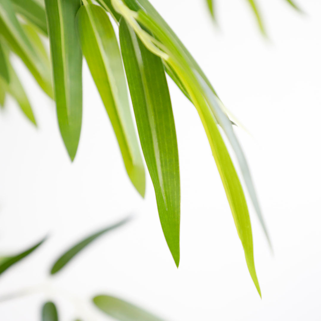 Τεχνητό Φυτό BAMBOO NP6321 180cm