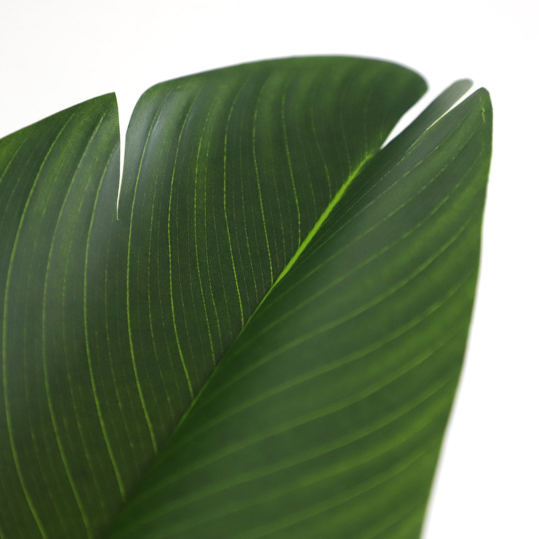 Τεχνητό Φυτό Bird of paradise NP717 160cm