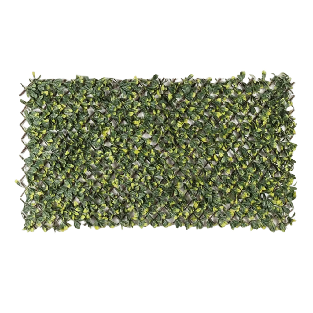 Πτυσσόμενη Πέργκολα Με Φυλλωσιά MZ186006A Miami 100cm x 200cm