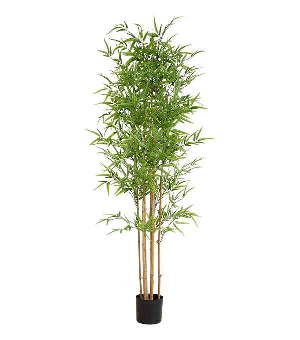 Τεχνητό Φυτό BAMBOO NP6321 180cm