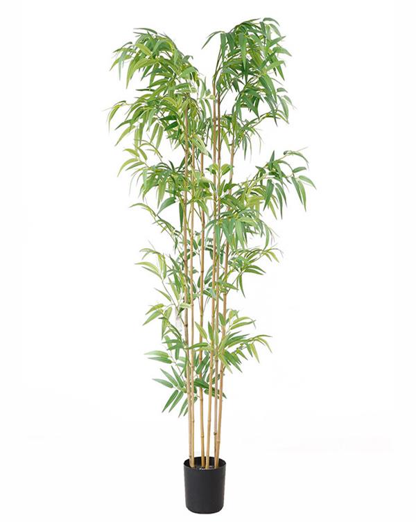 Τεχνητό Φυτό BAMBOO NP5801 180cm UV