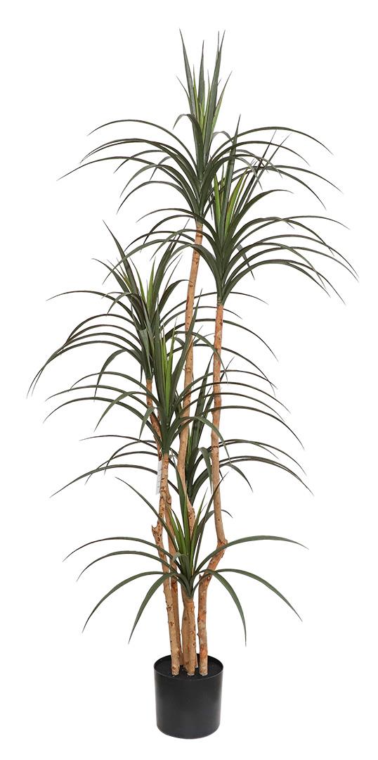 Τεχνητό Φυτό DRACAENA NP325 180cm