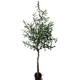 Τεχνητό Φυτό Olive Tree NP4817 160cm