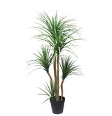 Τεχνητό Φυτό DRACAENA NP28 155cm
