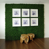 Κάθετος Διακοσμητικός Κήπος Φυλλωσιά Boxwood Berlin A146 50x50cm