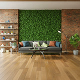 Κάθετος Διακοσμητικός Κήπος Φυλλωσιά Berlin Eucalyptus A199 50x50cm