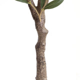 Τεχνητό Φυτό Olive Tree NP439 150cm