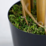 Τεχνητό Φυτό BAMBOO NP0075 180cm