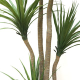 Τεχνητό Φυτό DRACAENA NP28 155cm