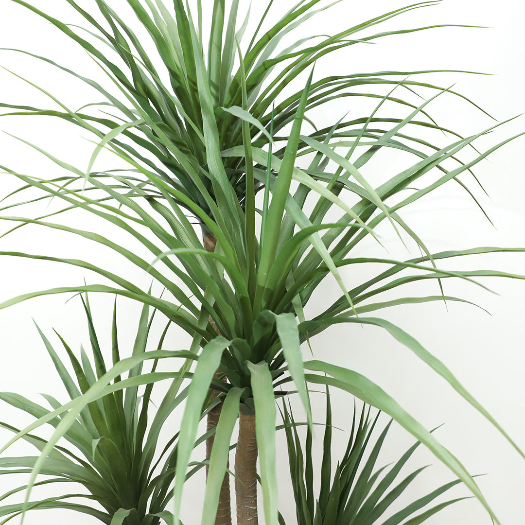 Τεχνητό Φυτό DRACAENA NP28 155cm