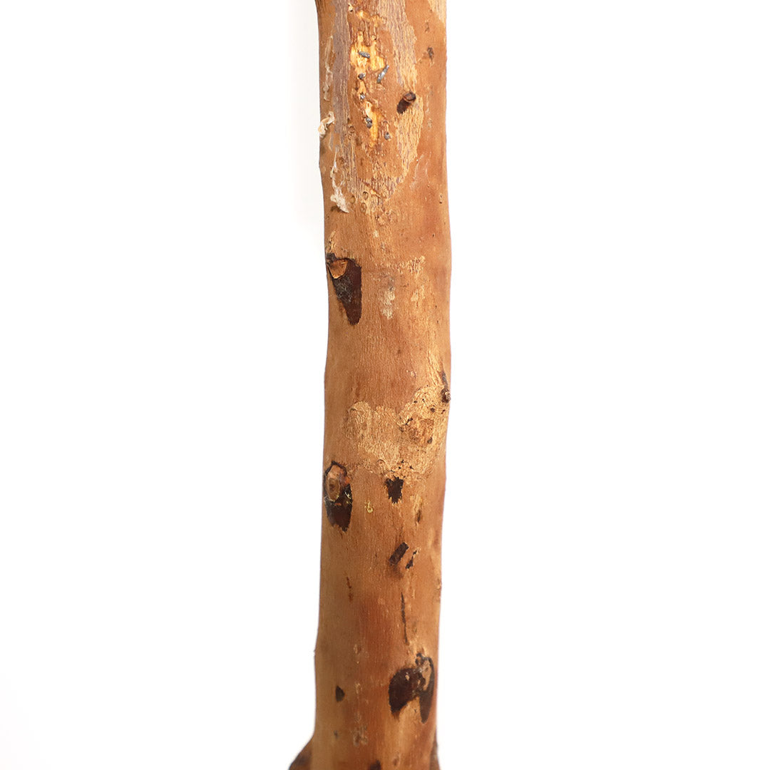 Τεχνητό Φυτό Olive Tree NP5807 Ύψος 150cm