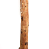 Τεχνητό Φυτό Olive Tree NP5807 Ύψος 150cm