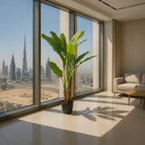 Τεχνητό Φυτό Banana Tree NP6327 180cm