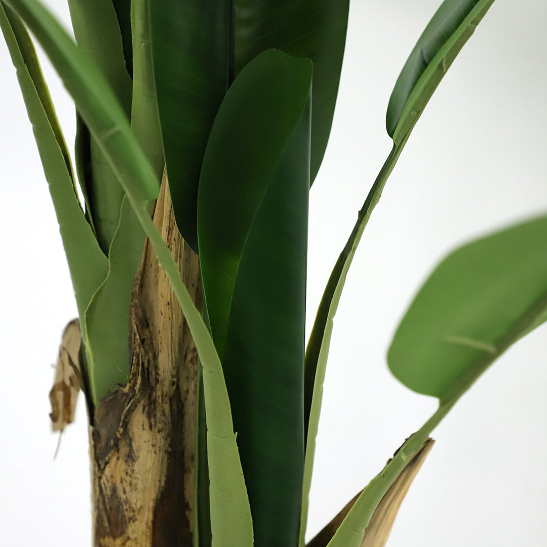Τεχνητό Φυτό Banana Tree NP702 145cm