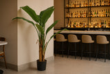 Τεχνητό Φυτό Banana Tree NP702 145cm