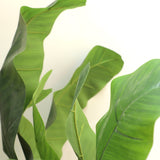 Τεχνητό Φυτό Banana NP707 240cm