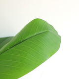 Τεχνητό Φυτό Banana NP708 220cm