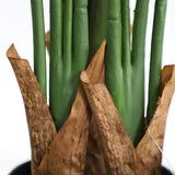 Τεχνητό Φυτό Bird of paradise NP717 160cm