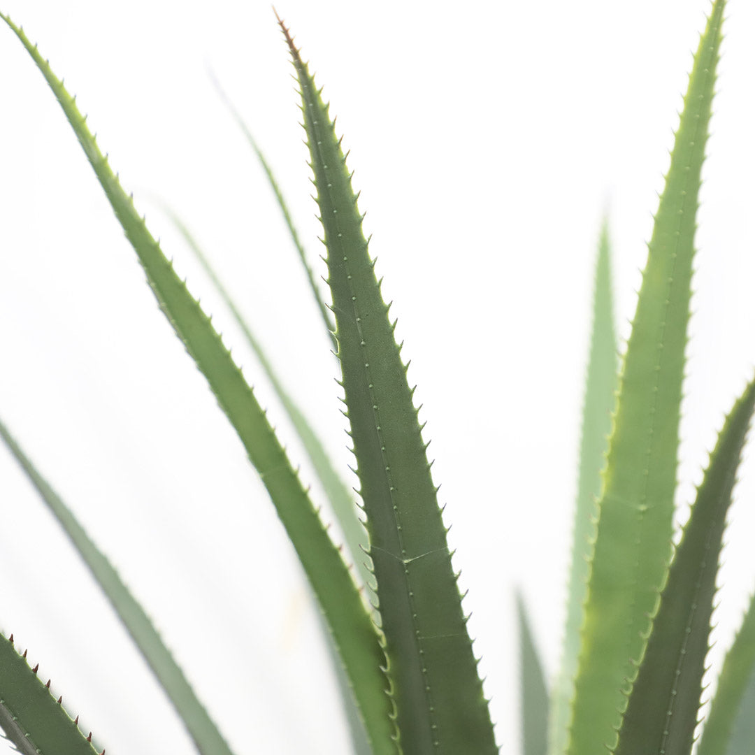 Τεχνητό Φυτό AGAVE TREE NP802 160cm