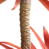 Τεχνητό Φυτό Sisal Tree NP811 140cm