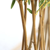 Τεχνητό Φυτό BAMBOO IN POT NP827 180cm