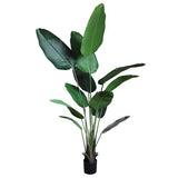 Τεχνητό Φυτό Banana NP1412 180cm
