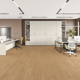 Floorpan Wings 010 LARK Δάπεδο Laminate AC5/33 4V 8mm