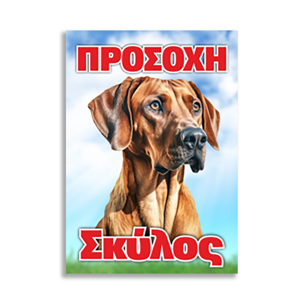 Πινακίδα Σήμανσης "Προσοχή Σκύλος" (Vizsla) 200mm x 300mm