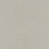 Beaufloor Πλαστικό Δάπεδο Titan 090L Scala 4mtr