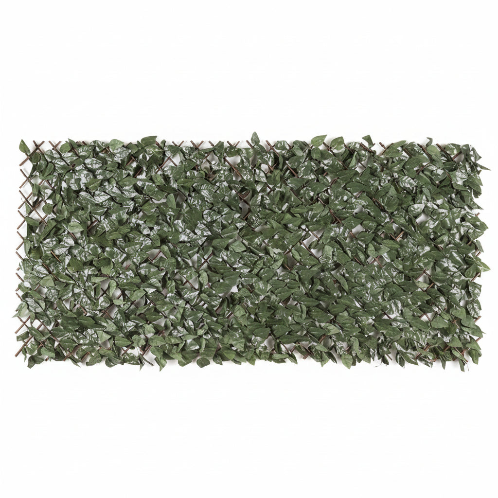 Πτυσσόμενη Πέργκολα Με Φυλλωσιά MZ186001Α Orlando 100cm x 200cm