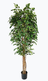 Τεχνητό Φυτό Fikos NP230 210cm UV