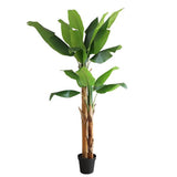 Τεχνητό Φυτό Banana NP708 220cm
